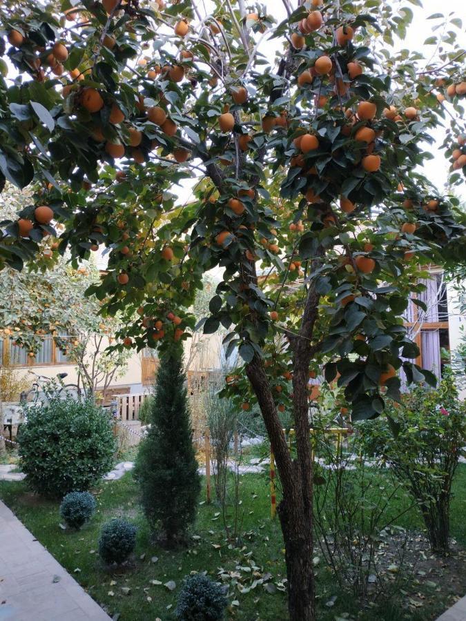 Sim Sim Hostel & Guest House Near The Church Samarkand Exterior photo