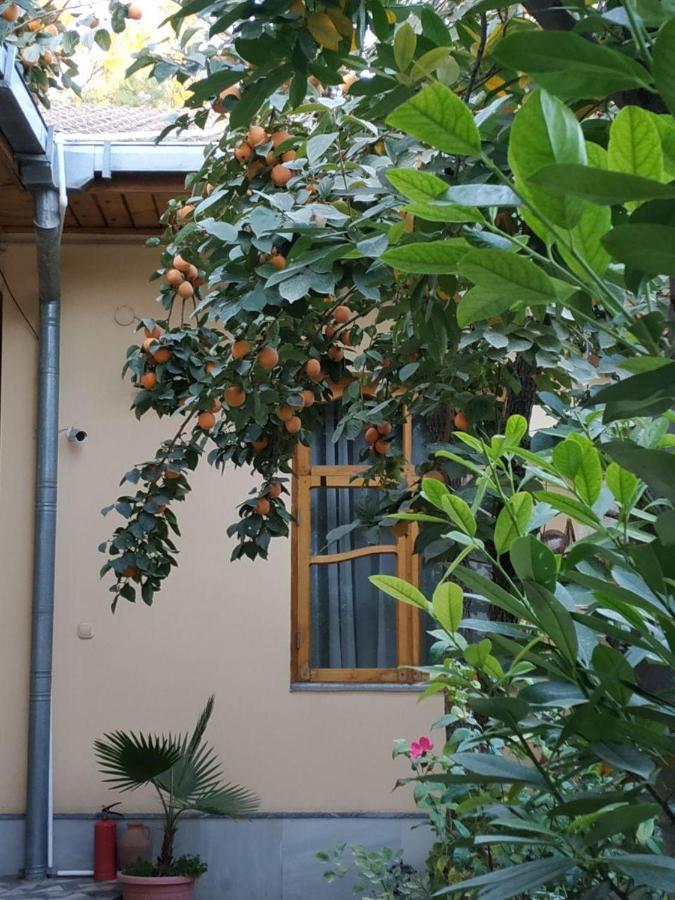 Sim Sim Hostel & Guest House Near The Church Samarkand Exterior photo