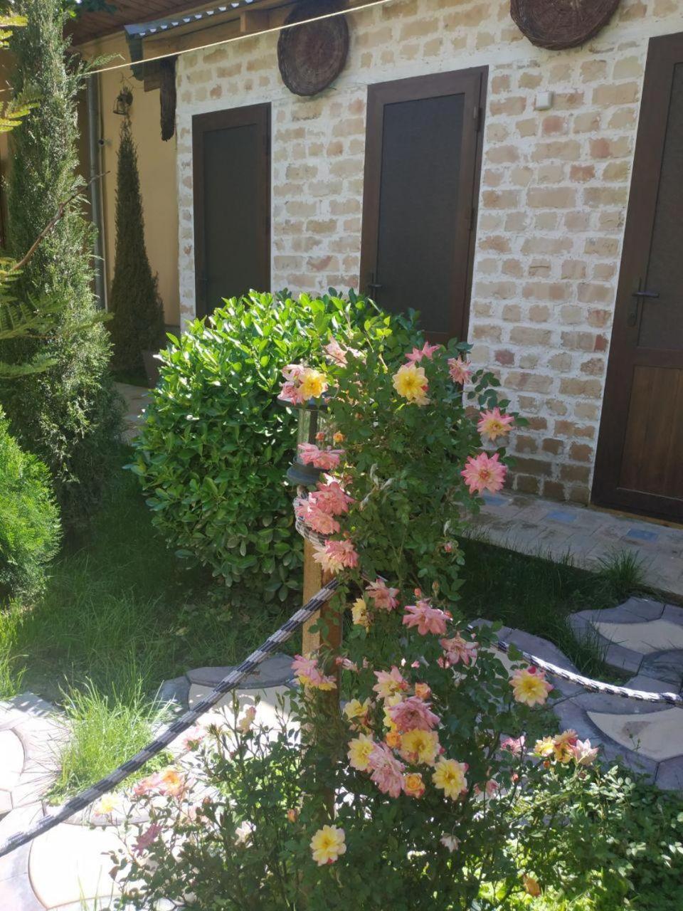 Sim Sim Hostel & Guest House Near The Church Samarkand Exterior photo