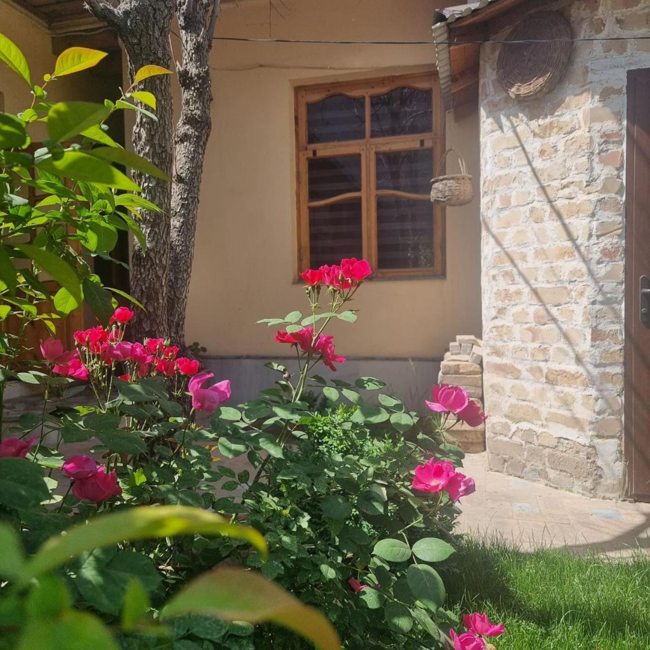 Sim Sim Hostel & Guest House Near The Church Samarkand Exterior photo