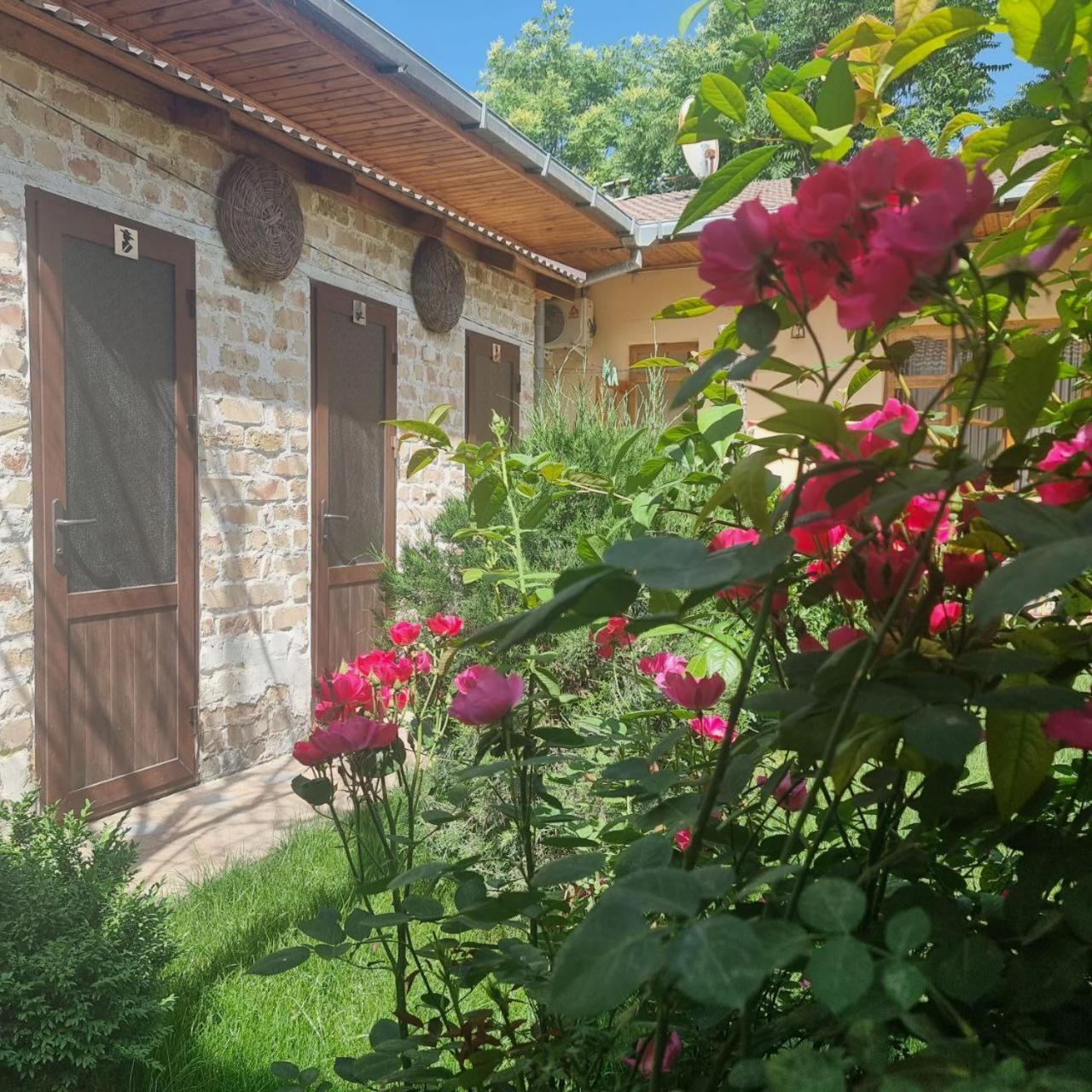 Sim Sim Hostel & Guest House Near The Church Samarkand Exterior photo